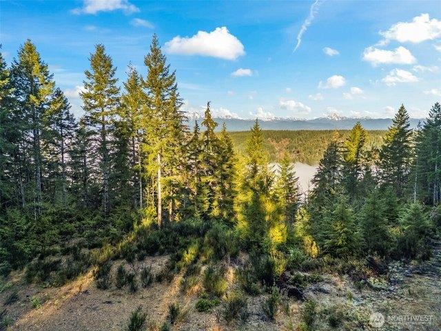 Land for sale in Union, Mason County