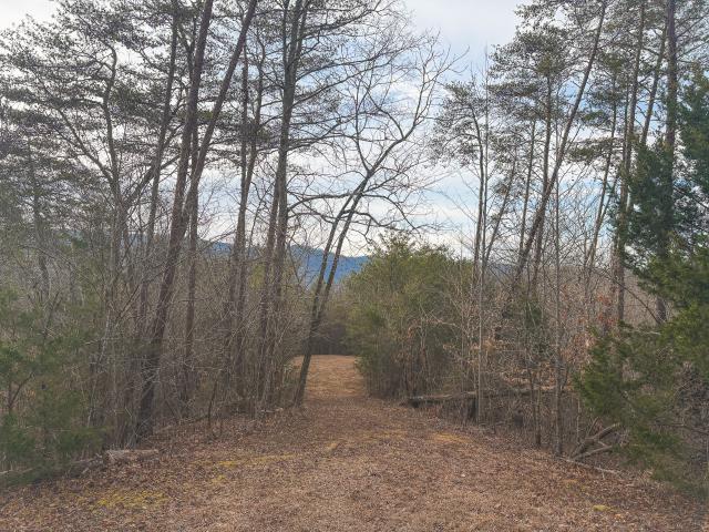 Land for sale in Tennessee