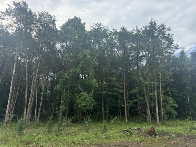 Land for sale in Tennessee
