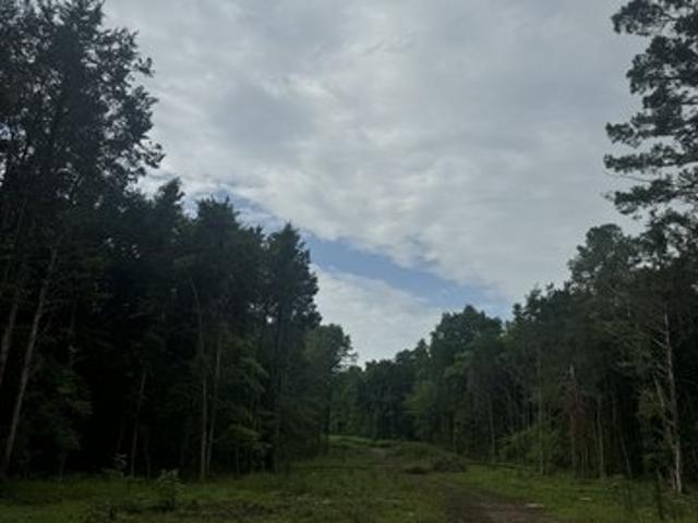Land for sale in Tennessee