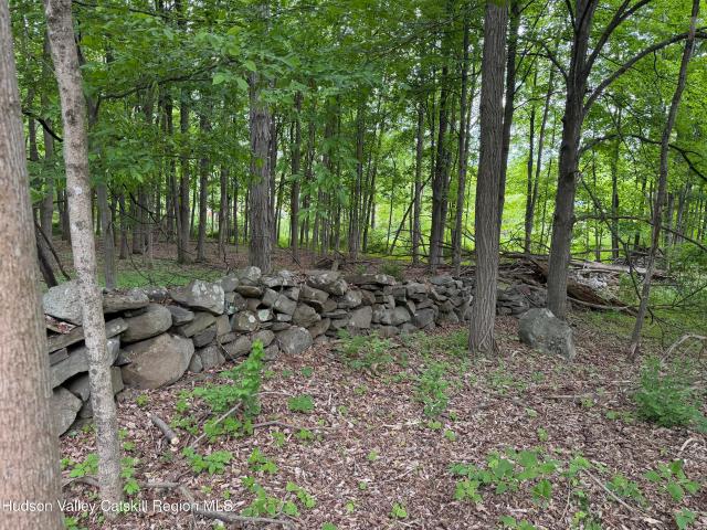 House for sale in Greenville, New York