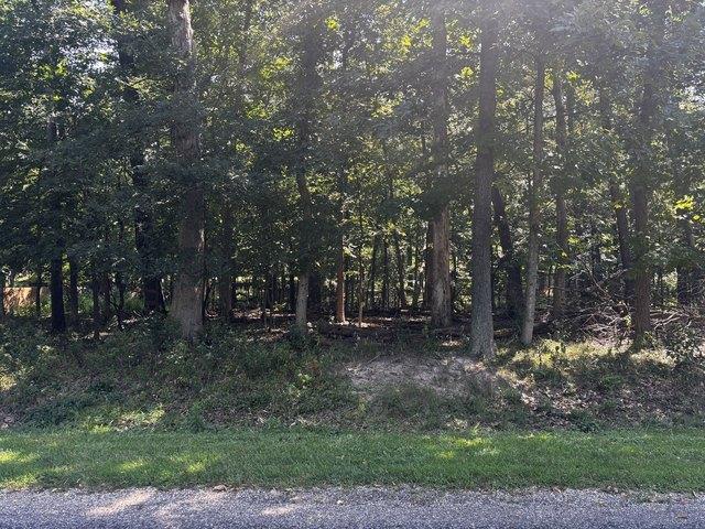 Land for sale in Marshall, Illinois