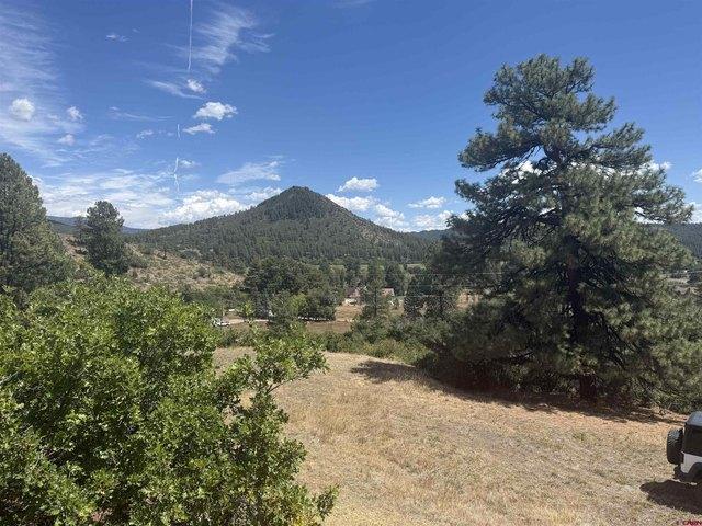 Land for sale in La Plata, Colorado
