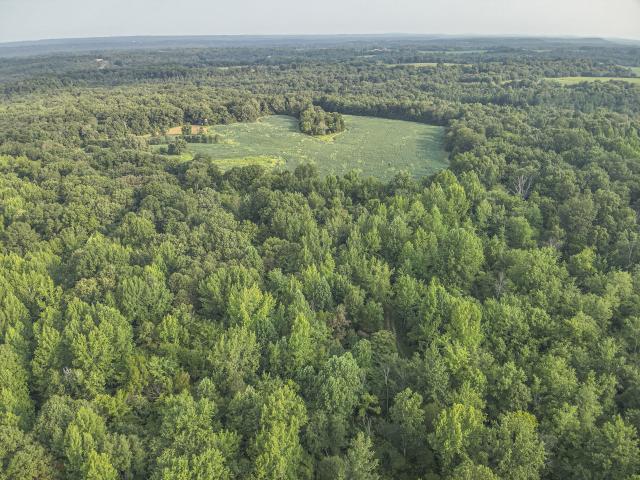 Farm for sale in Ledbetter, Kentucky