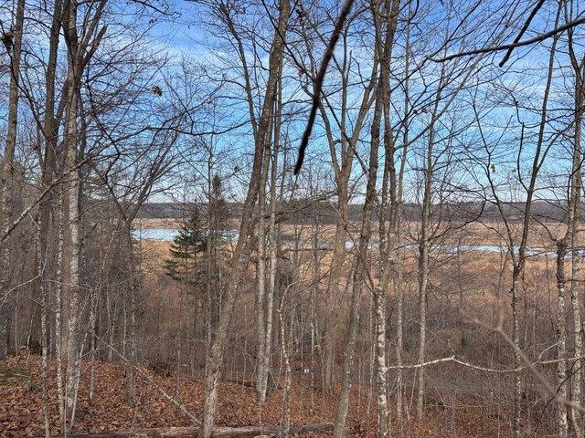 Land for sale in Sawyer, Wisconsin