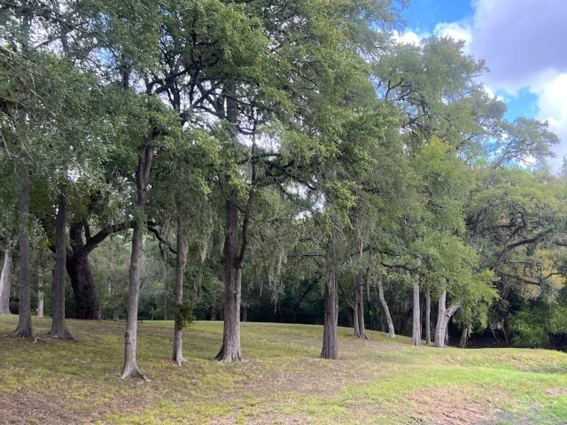 House for sale in Columbus, Texas