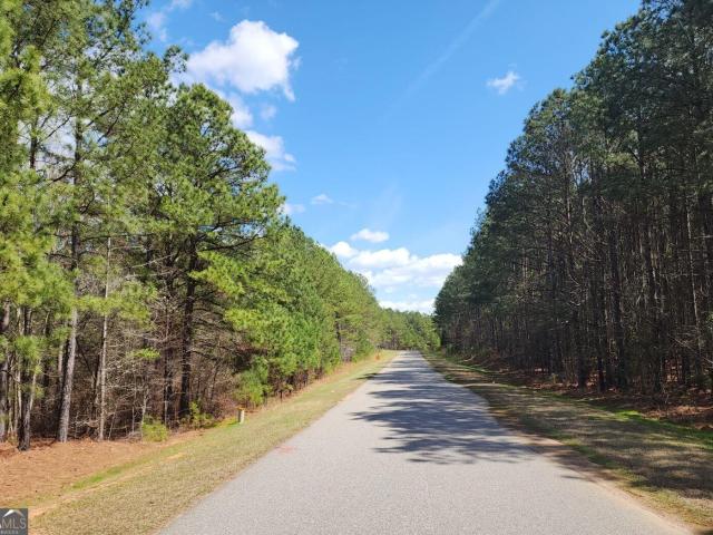 Land for sale in Tignall, Georgia