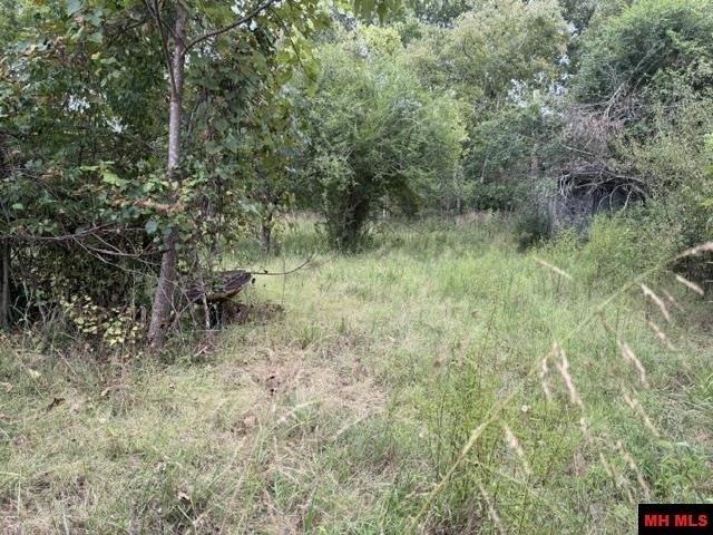 Land for sale in Salesville, Baxter County