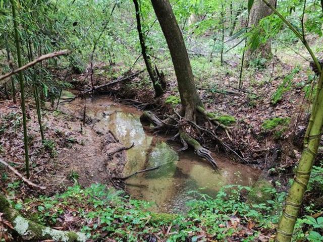 Land for sale in Senoia, Georgia