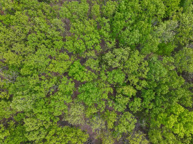 Land for sale in Osceola, Missouri