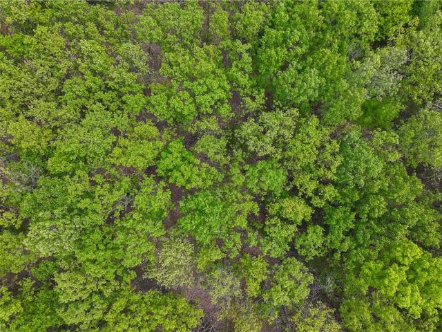 Land for sale in Osceola, Missouri