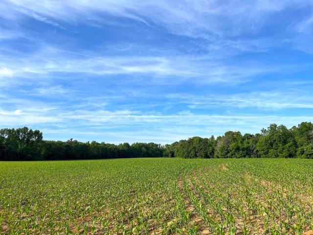 Land for sale in Tennessee