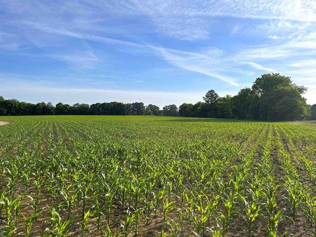 Land for sale in Tennessee