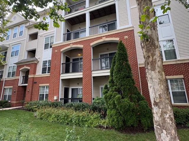 Property for rent in Virginia