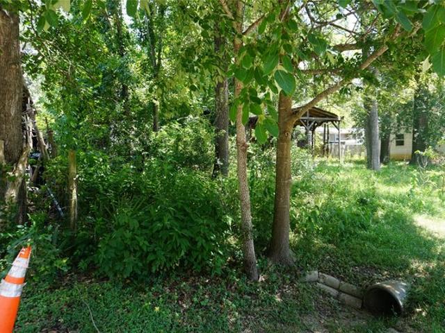 Land for sale in Willis, Texas