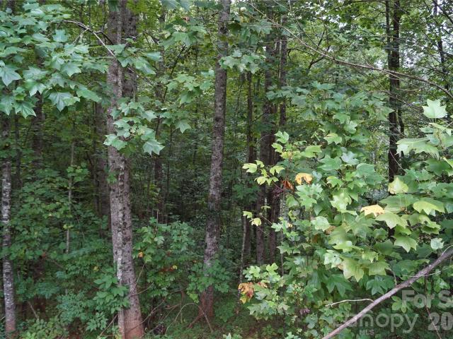 Land for sale in Chatham, North Carolina