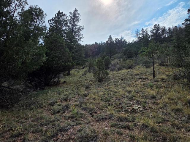 Land for sale in South Fork, Colorado