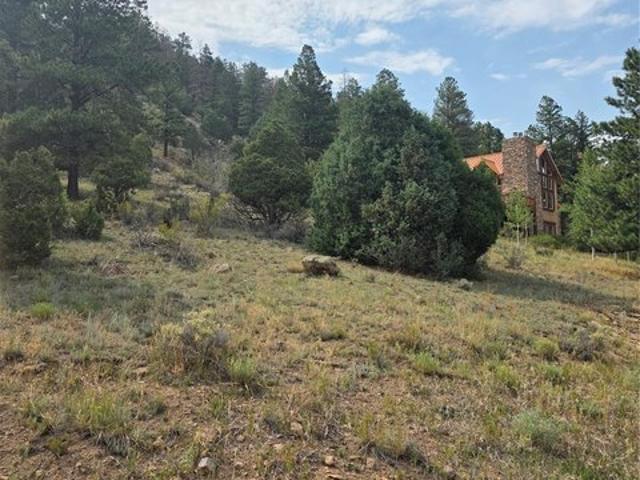 Land for sale in South Fork, Rio Grande County