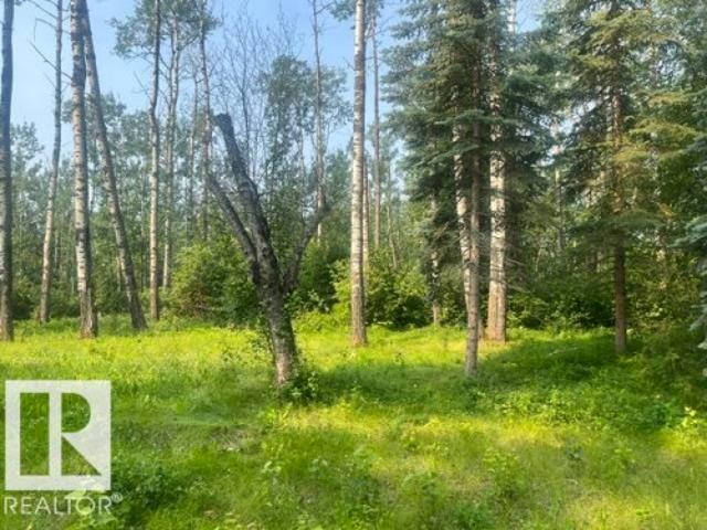 Land for sale in Glenevis, Alberta