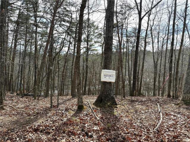 Land for sale in Waleska, Georgia