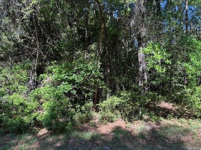 Land for sale in Glynn, Georgia