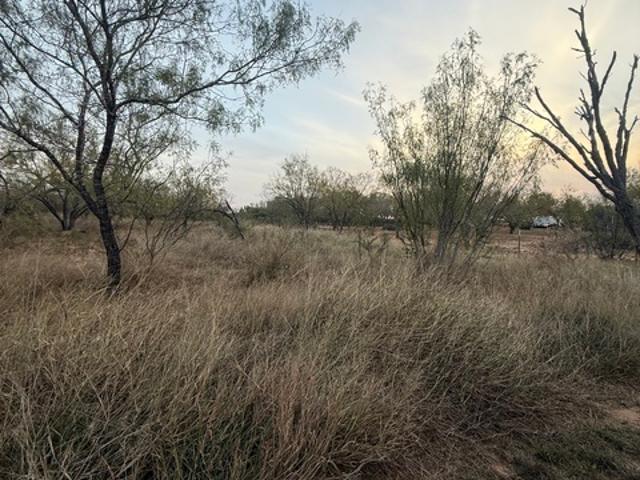 Land for sale in Medina, Texas