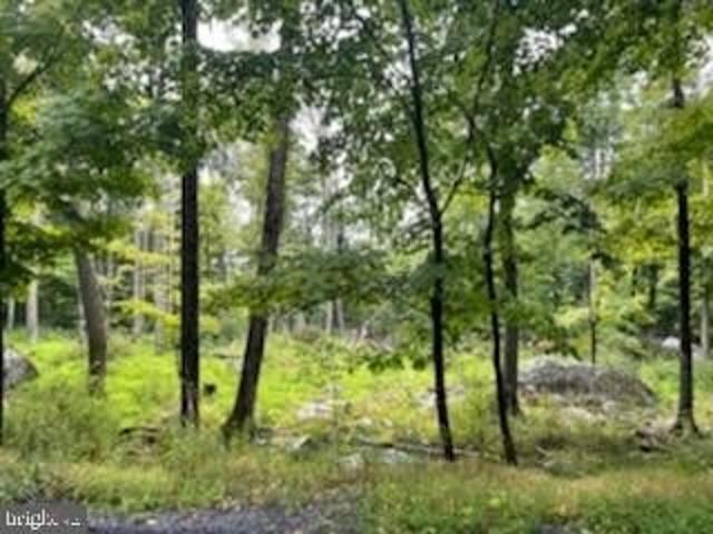 Land for sale in Greentown, Greene Township