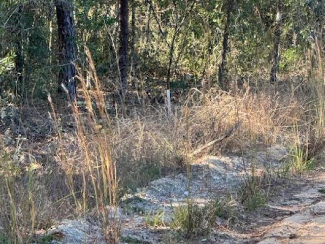Property for sale in Satsuma, Florida