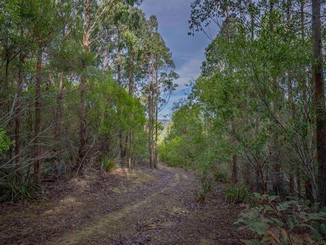 Land for sale in Judbury, Tasmania