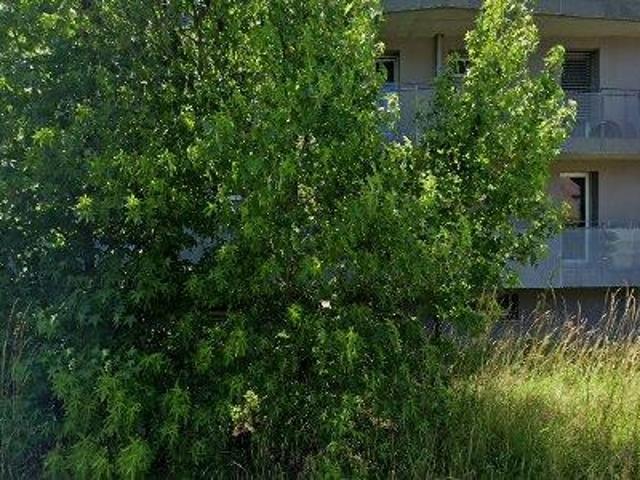 Apartment mieten in Wohlen (AG), Aargau