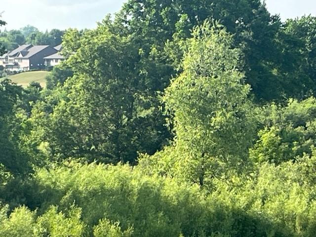 Land for sale in Albany, Minnesota
