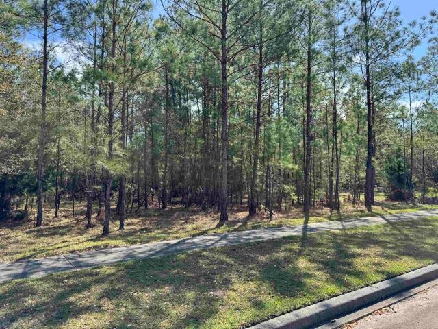 Land for sale in Georgetown, South Carolina