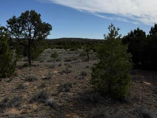Land for sale in Ramah, New Mexico
