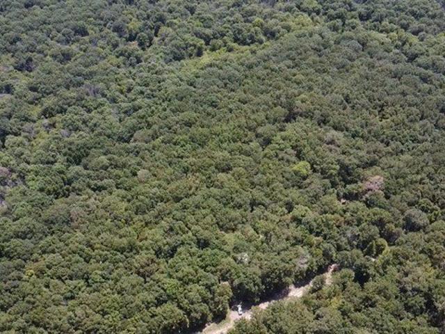 Land for sale in Avery, Texas