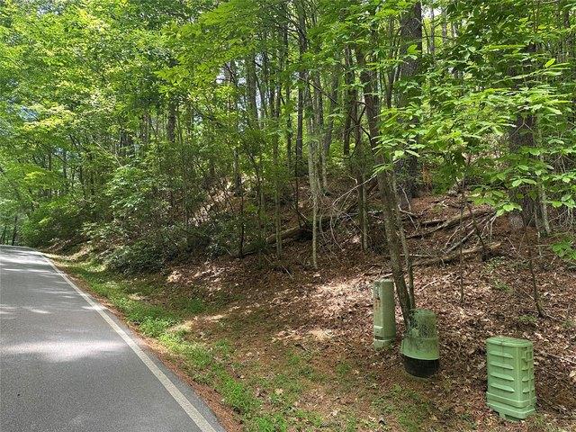 Land for sale in Transylvania, North Carolina