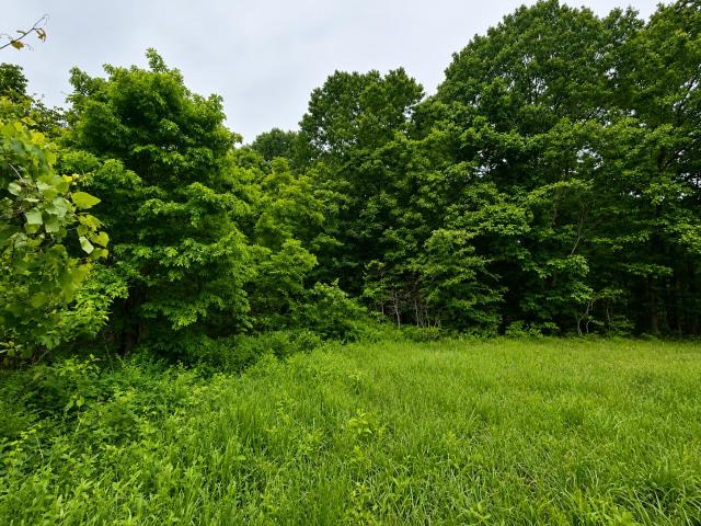 Land for sale in Ava, Douglas County
