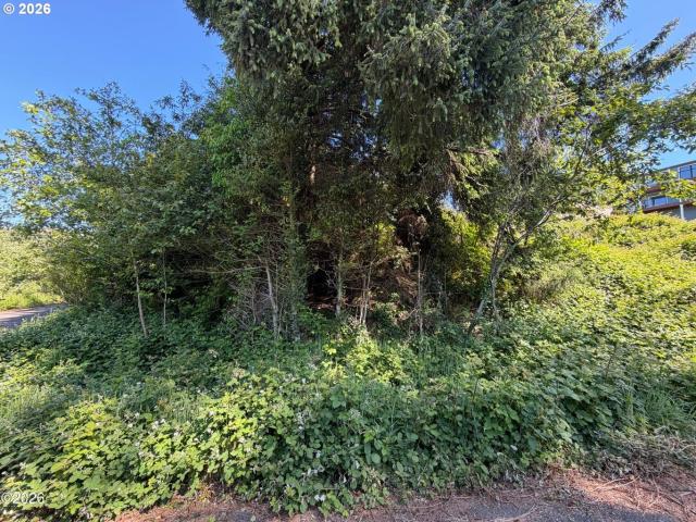 Land for sale in Oregonia