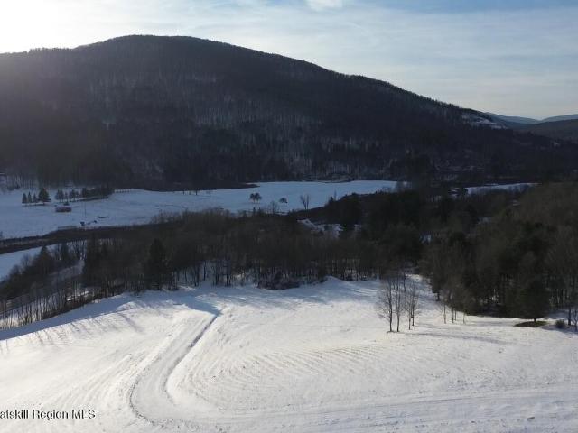 Land for sale in Ashland, New York