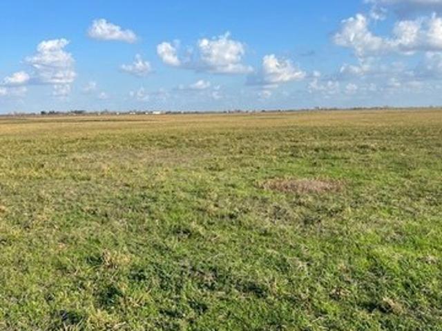 Farm for sale in Guy, Texas