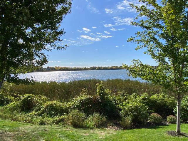 House for sale in Albertville, Wright County