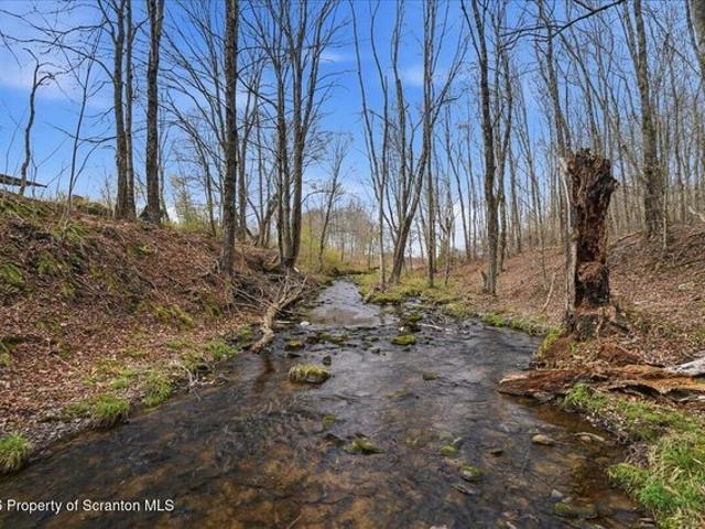 Land for sale in Thompson, Pennsylvania