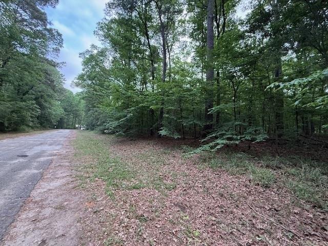 Land for sale in Sabine, Texas