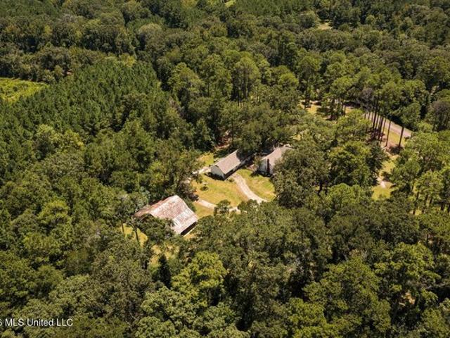 Land for sale in Magnolia, Mississippi