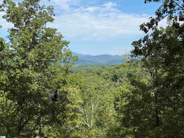 Land for sale in Taylors, Greenville County