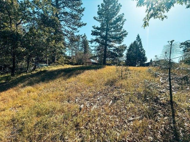 Land for sale in Murphys, California