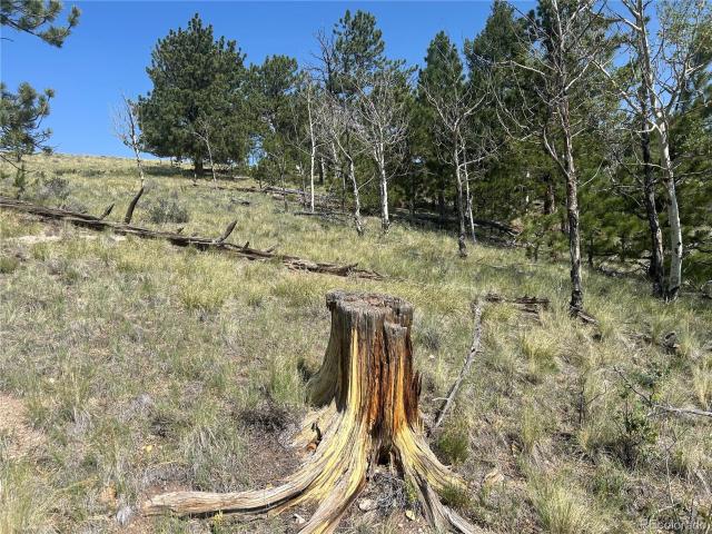 Land for sale in Hartsel, Colorado