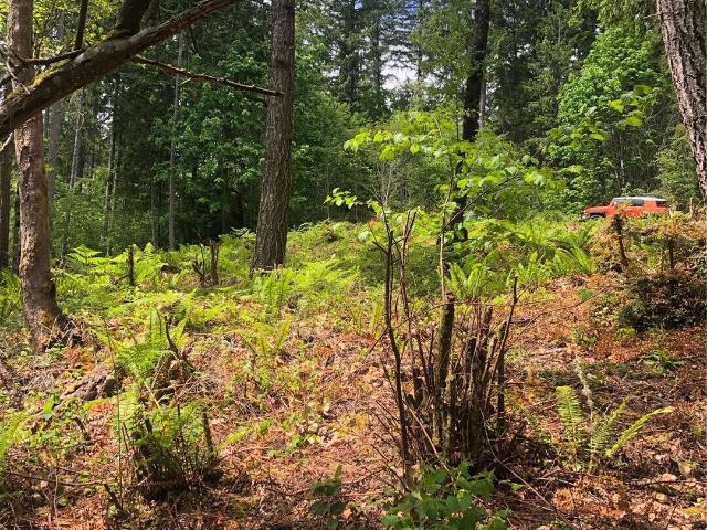 Land for sale in Vaughn