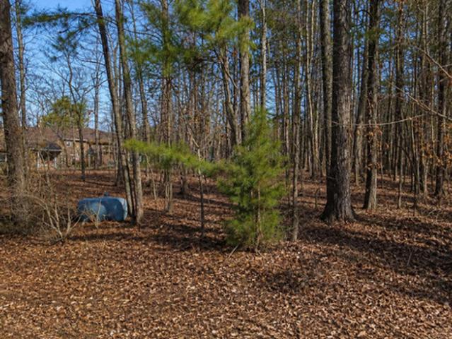 Land for sale in Greensboro, Georgia