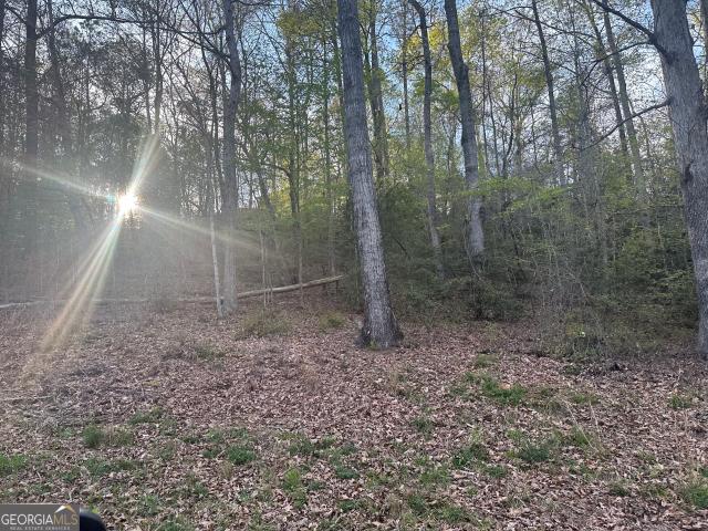 Land for sale in Oconee, Georgia