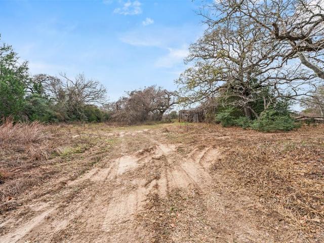 Land for sale in Lexington, Texas